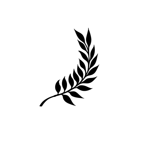 Elegant minimalist branch