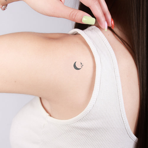 enchanted moon