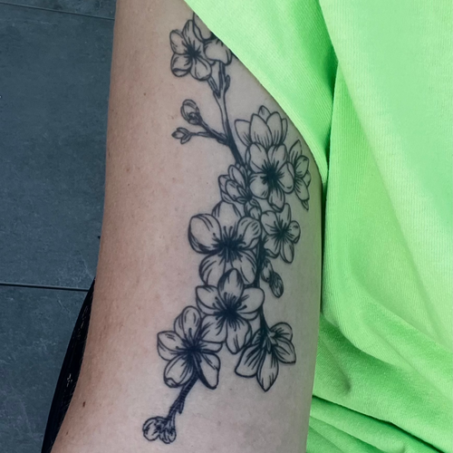 cherry blossom