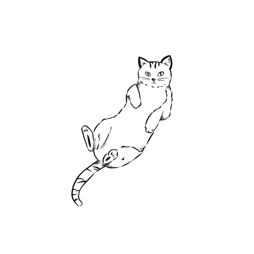 Minimalist cat