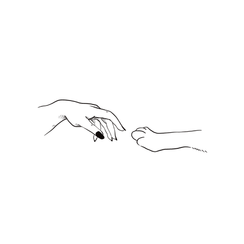 Dog paw and hand