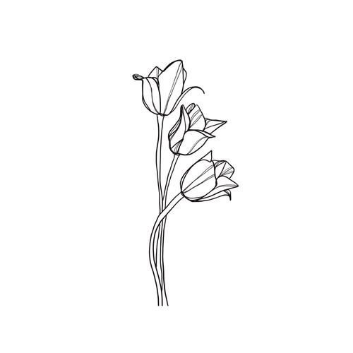 Tulip tattoo