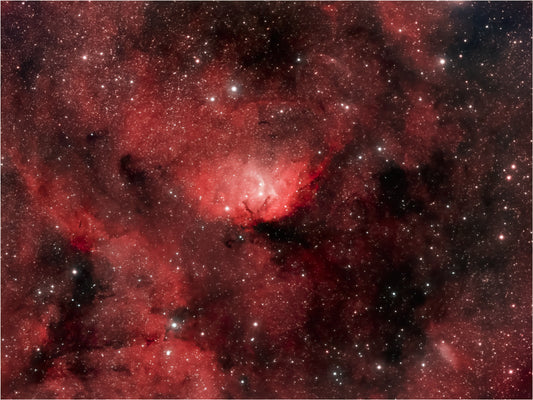 Les tatouages éphémères du Bélier : Décryptage des symboles et inspirations