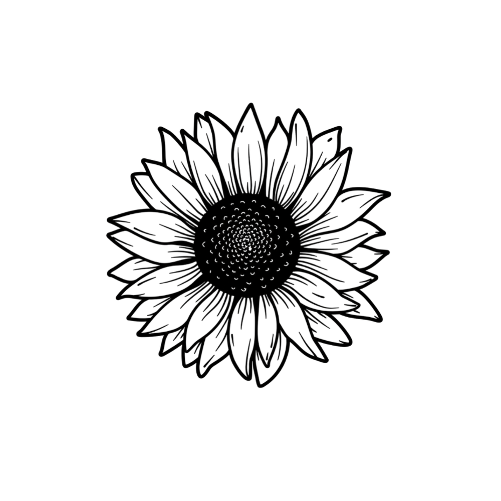 Minimalist sunflower