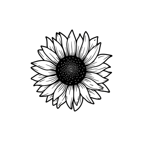 Minimalist sunflower