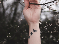 Swallow tattoo