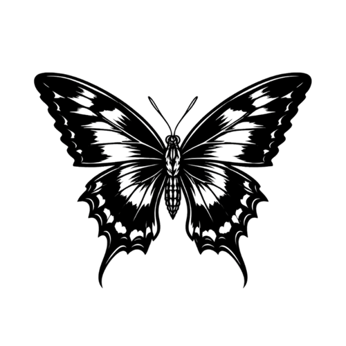Black butterfly