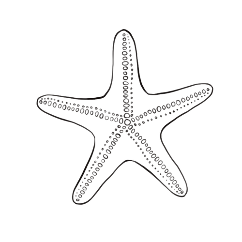 Starfish