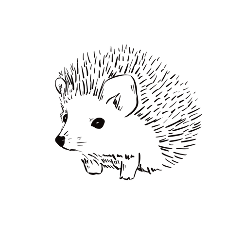 Hedgehog tattoo