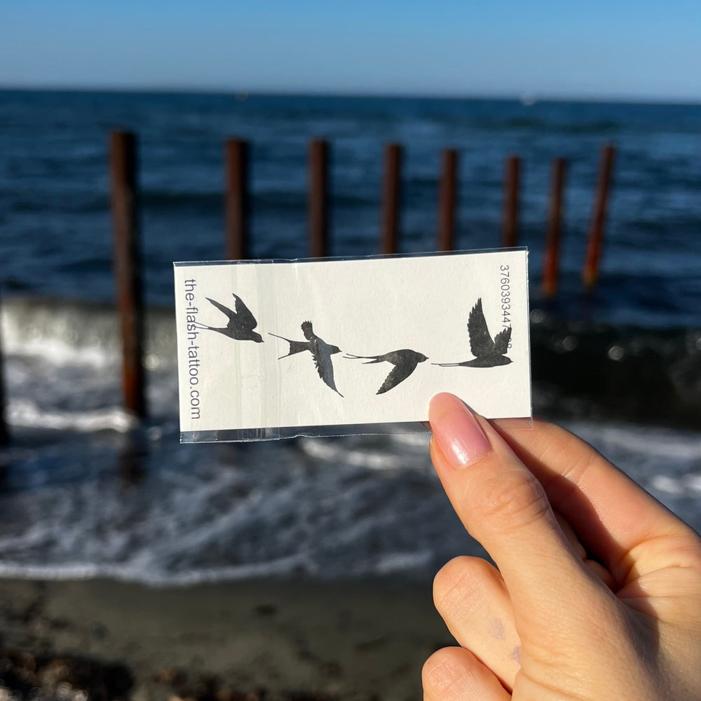 Swallows in flight