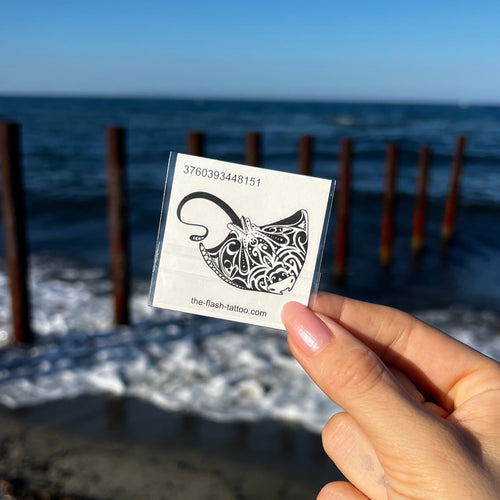 Maori manta ray
