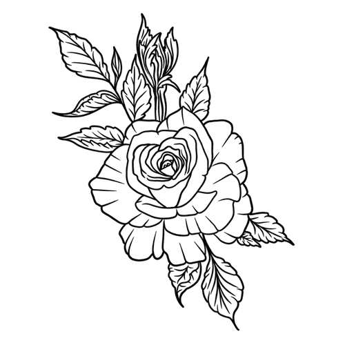 eternal rose