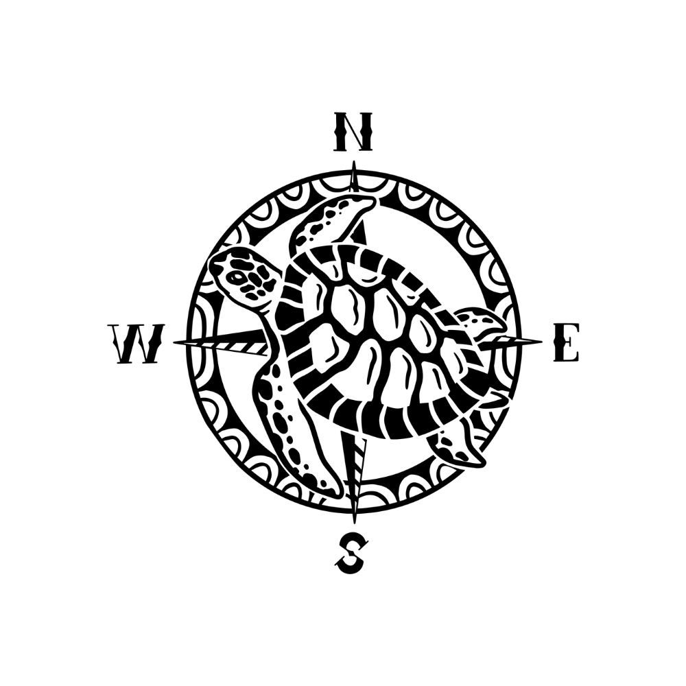 Compass turtle